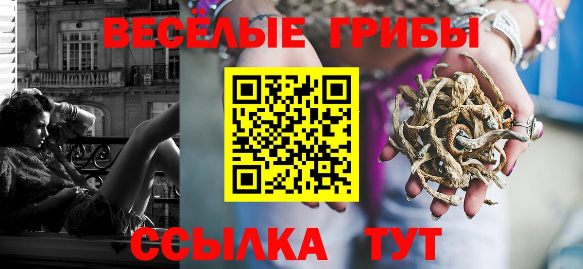 Галлюциногенные грибы Cubensis Егорьевск