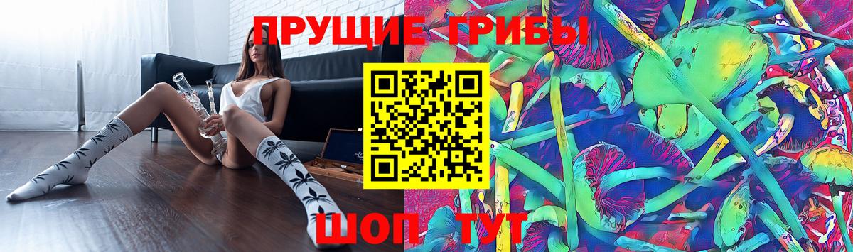 Галлюциногенные грибы Magic Shrooms  Псилоцибиновые грибы Psilocybe  Вход с VPN  что такое наркотик  Егорьевск 